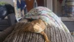20170823_141406_1503495553504.jpg