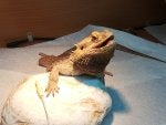 IMG_20200110_160043_1578952979063.jpg