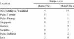 Sample-Size-According-to-Locality-and-Phenotype_1605368028688.png