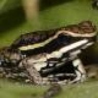 chrism's Avatar
